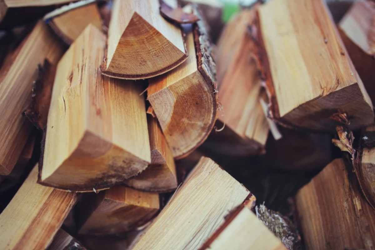 Metodi conservazione legna