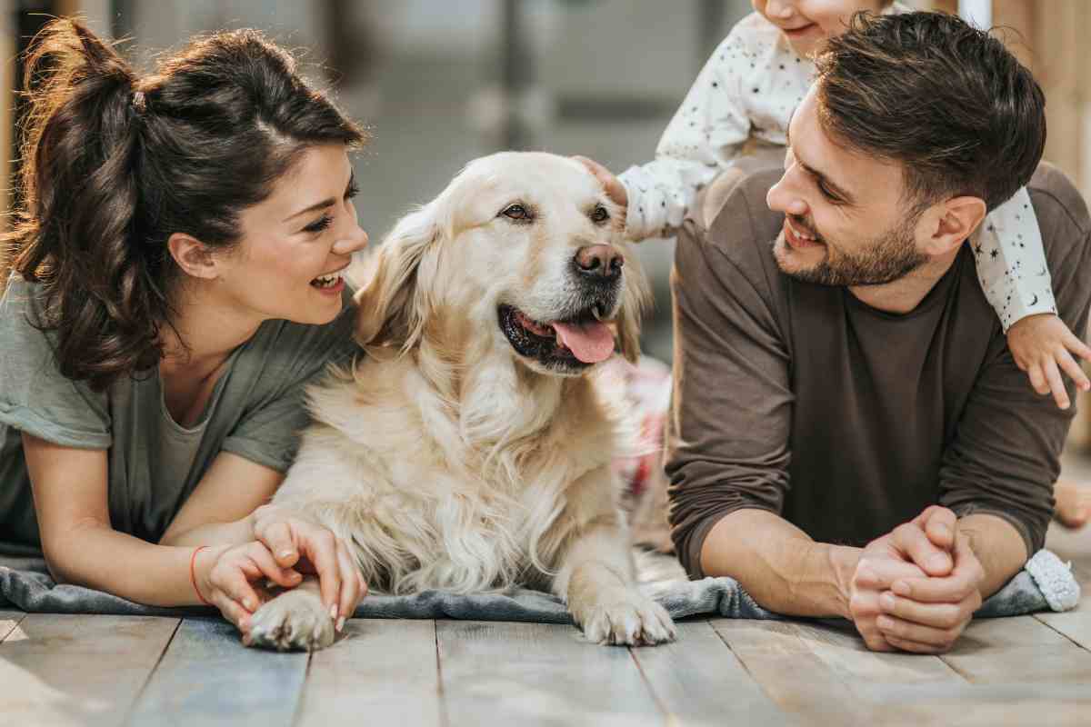 Bonus animali domestici 