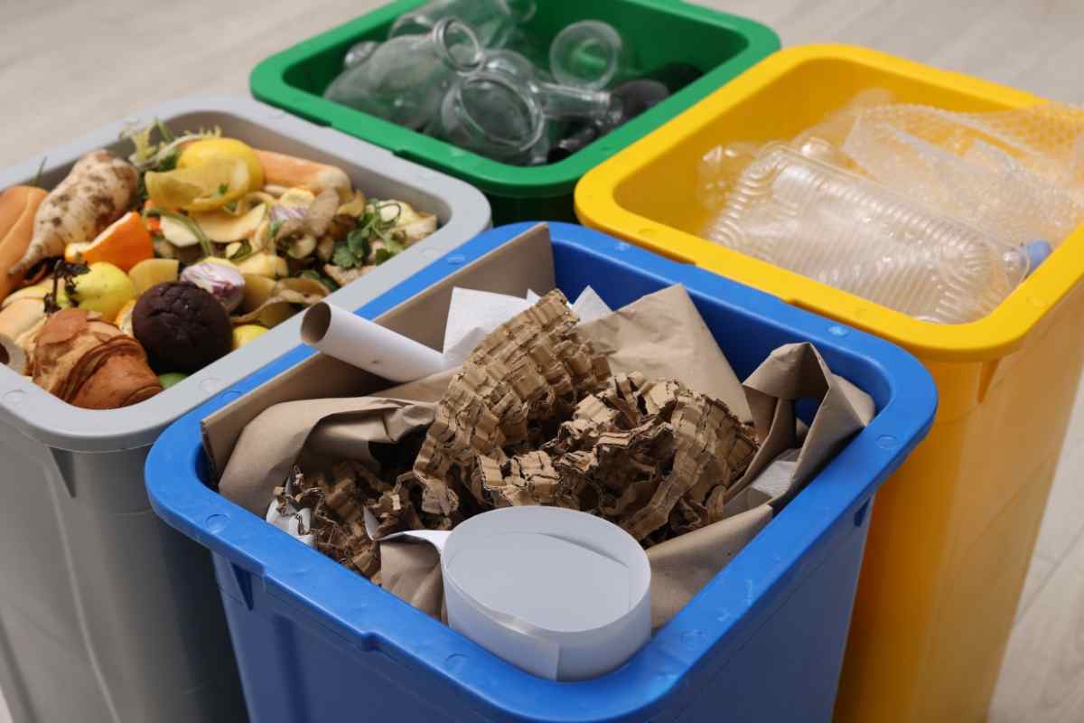 Errore raccolta umido