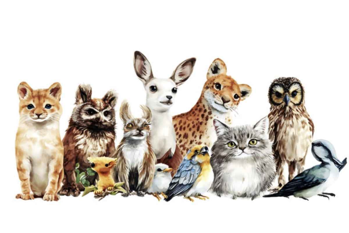 Questo tipo di umorismo trova spazio anche nell’educazione, come dimostrano numerosi testi scolastici e quaderni operativi utilizzati nelle scuole italiane