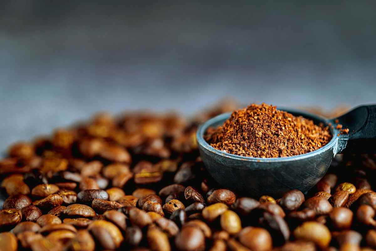 caffè macinato cattivi odori