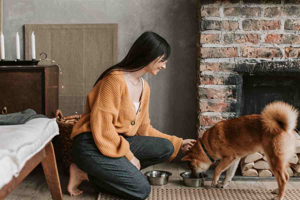 peli di cane rimuovere vestiti