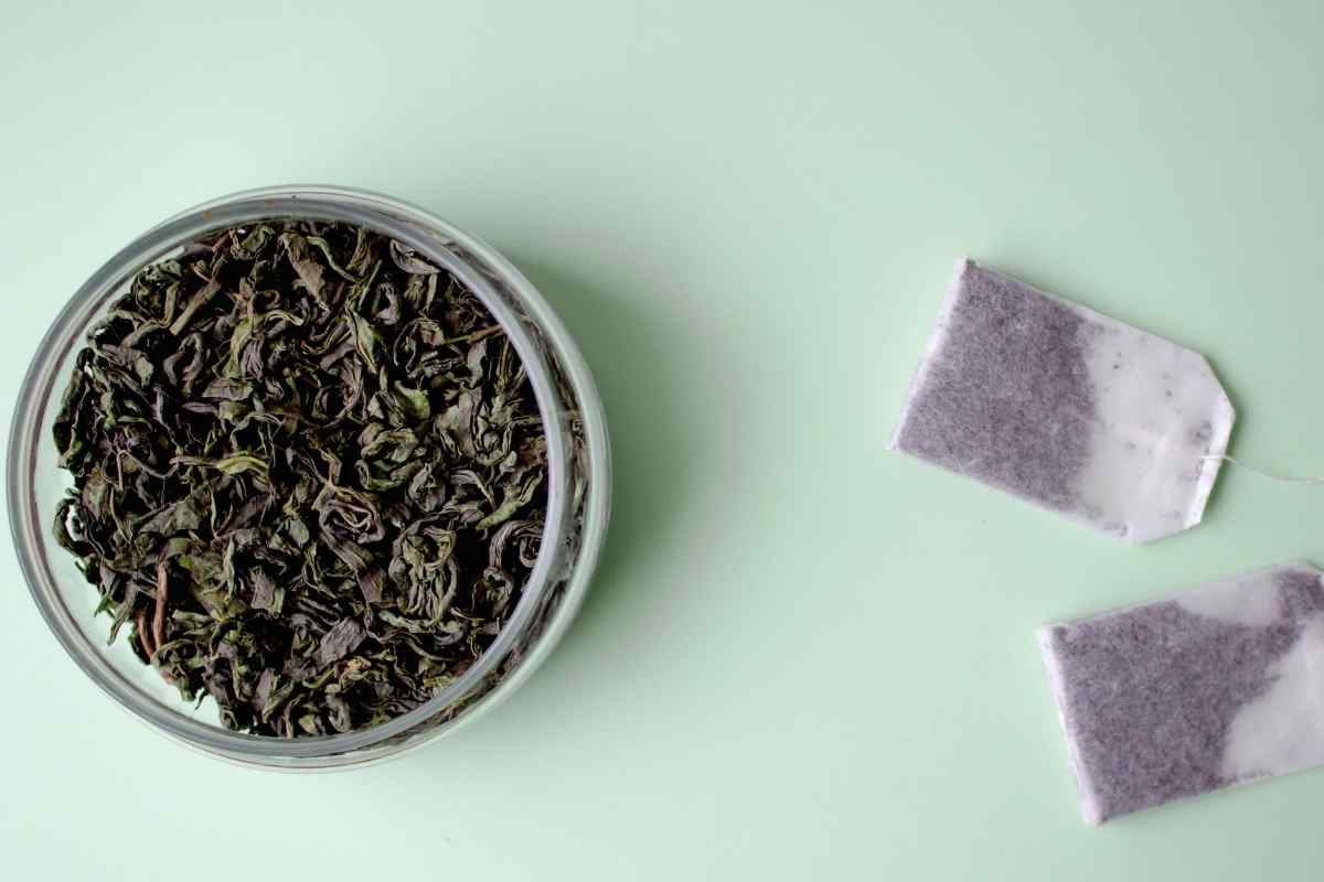 Perché mettere le bustine di tè nel frigorifero, tutti i dettagli